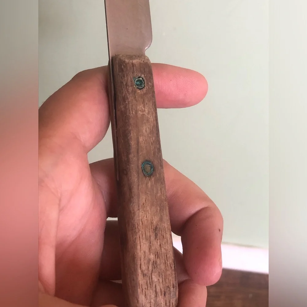Vintage Geneva Stainless USA Paring Knife 7” Overall, Wood Handle